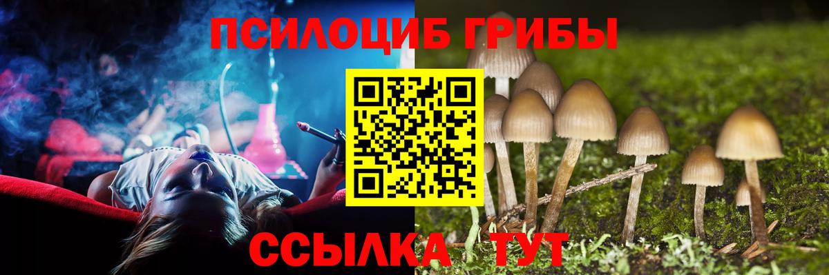 Галлюциногенные грибы мицелий Лянтор